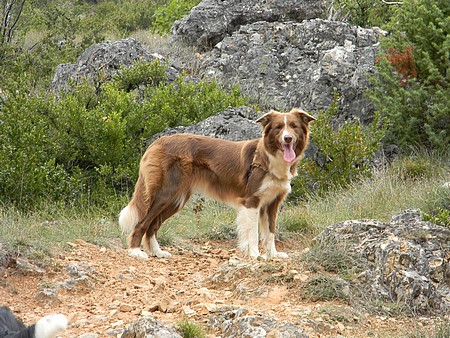 Easy lou du Domaine du Baschberri